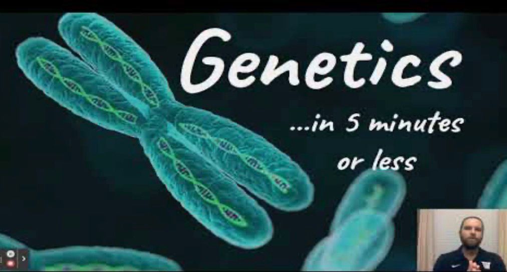 5 min Biology: GENETICS