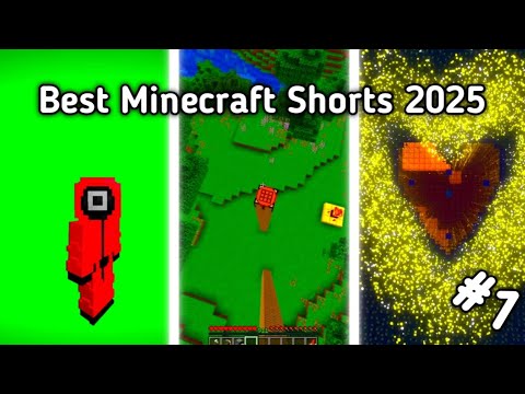 Best Of Minecraft Shorts 2025